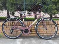 Rower SKL Skilledbike New York kolor brązowy