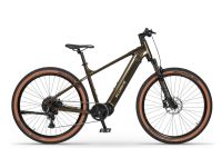Rower elektryczny Ecobike SX 300 Green 25 Ah / 900 Wh